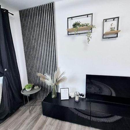Christal Apartment Bacău Exteriér fotografie